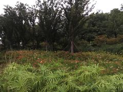 -幸福湖国际会议中心