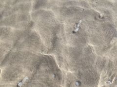 -南戴河旅游度假区