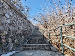 -香山公园