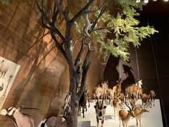 -贝林大翅鲸简餐厅(国家海洋博物馆店)