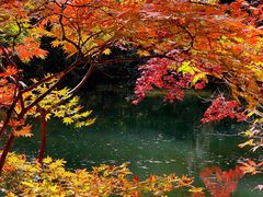 -本溪老边沟风景区