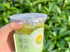 -宝藏绿洲(万象前海店)