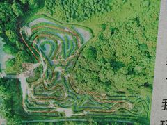 -大屏嶂森林公园