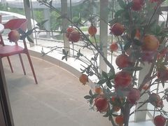 -点都德(广州白云山景区南门店)