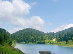 -武陵山森林公园