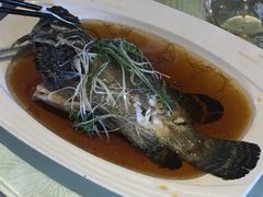 -小白鲨工夫潮膳(曲江店)