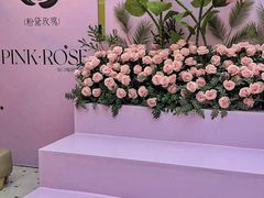 -鲜芒多·杨枝甘露(摩尔城A座10楼店)