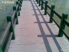 -海河外滩公园
