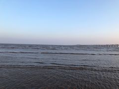 -南汇新城海滩