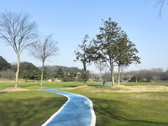 -宜兴龙背山森林公园