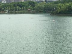 -天鹅湖体育公园
