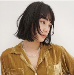 -IDOL-PLUS
