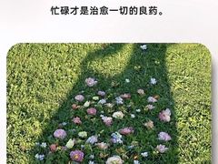 -壹只卤鹅·潮汕菜(莲塘店)