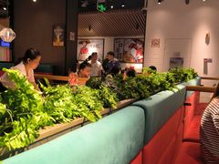 -避风塘(宝山万达店)