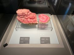 -安徽省地质博物馆