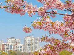 -新江湾城公园