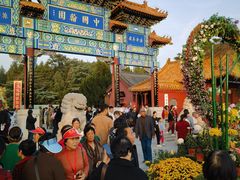 -中国翰园碑林