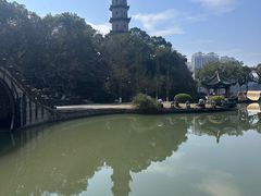 -江心屿景区