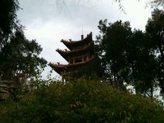 -迎泽公园