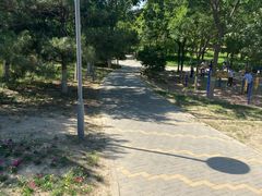 -大兴滨河森林公园