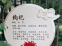 -上海市黄浦区香山中医医院