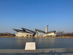 -盐城丹顶鹤湿地生态旅游区