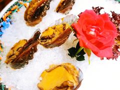 手工冰镇鲍鱼-木棉·醉心粤味(COCO Park店)