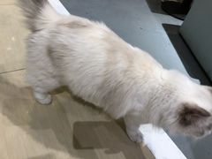 -小时光咖啡馆(开森度假森林店)