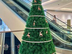 -深圳湾万象城(南山店)