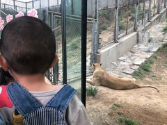 -石家庄市动物园