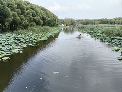 -同里国家湿地公园