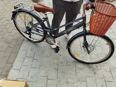 -道路口单车爱瓦士dahon大行