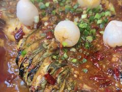 -鱼酷活鱼烤鱼(沈阳大悦城店)