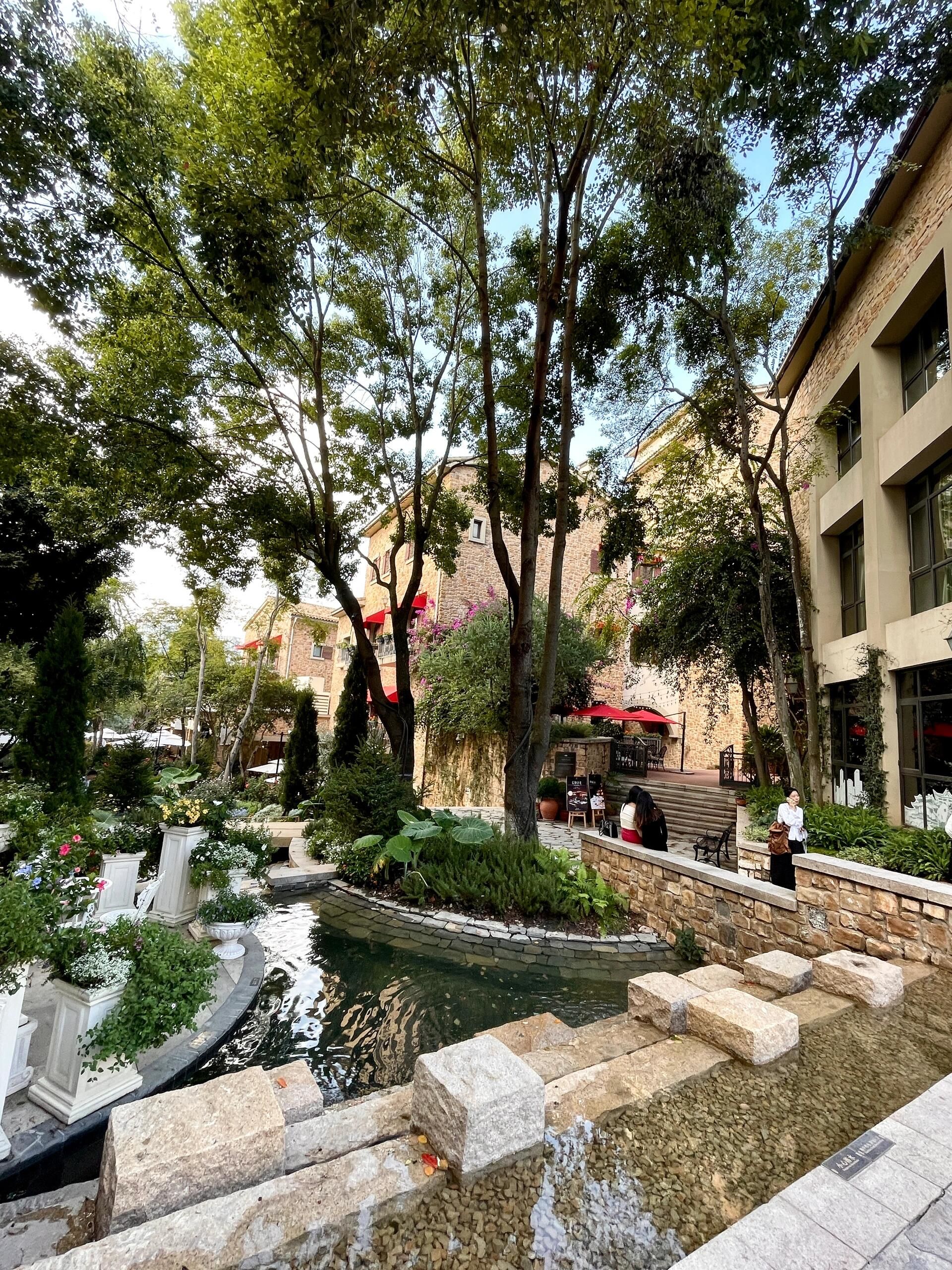 海选成都品茶工作室周边探索成都人享受生活方式