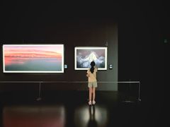 -罗红摄影艺术馆