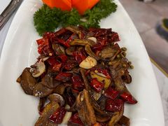 -原林野山菌火锅·炒菌(关上野生菌一条街店)