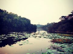 -水濂山乐民游艺园