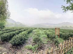 -华祥苑茶馆•国缤茶小蓝罐(普罗旺斯店)