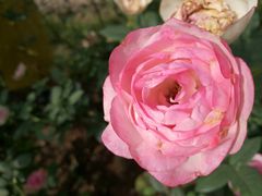 -人民公园(罗湖区)