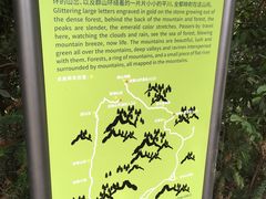 -南山植物园