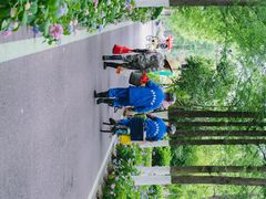 -合肥滨湖国家森林公园