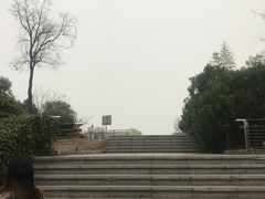 -羊山湖公园