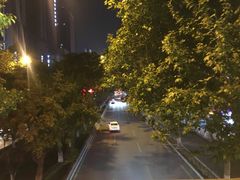 -回坊马二饺子馆