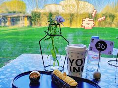 -禧室Joyous Lounge(禧园店)