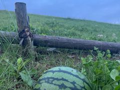 -滆湖低碳生态公园