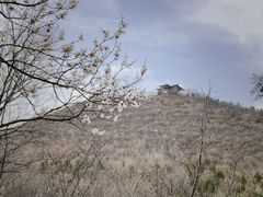 -北宫国家森林公园