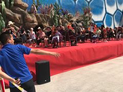 -华夏文旅西安度假区