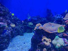 -成都浩海立方海洋公园