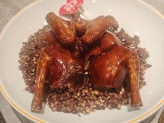 -朱记乳鸽王·非遗石岐乳鸽·全鸽宴(大兴旗舰店)