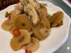 -上海圣淘沙万怡酒店
